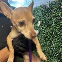 Thumbnail photo of kenny chesney* #1