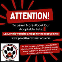 Thumbnail photo of MITZI #4