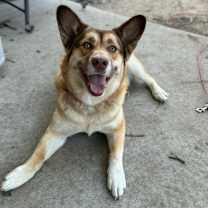 Thumbnail photo of Mocha #1