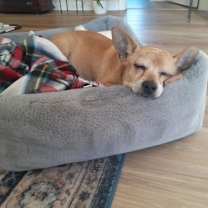 Thumbnail photo of RUDY #2