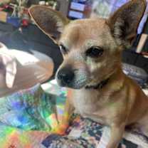 Thumbnail photo of RUDY #3