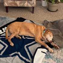 Thumbnail photo of Benedict #2