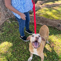 Thumbnail photo of Benedict #3