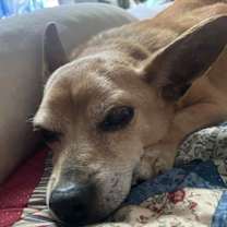 Thumbnail photo of RUDY #4