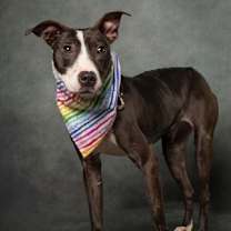 Thumbnail photo of Delilah #3