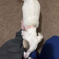 Thumbnail photo of Olive #2