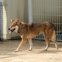 Thumbnail photo of Sori #4