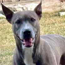 Thumbnail photo of Kelley #2