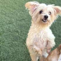 Thumbnail photo of Sushi #2