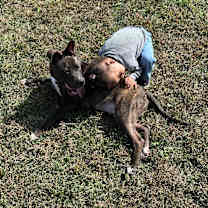 Thumbnail photo of Rocket #4