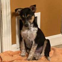 Thumbnail photo of Ghost #1