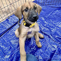 Thumbnail photo of AUTUMN #1