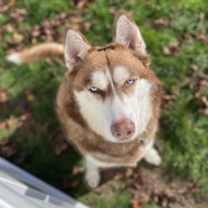 Thumbnail photo of Max #2