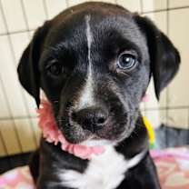 Thumbnail photo of Latte #1