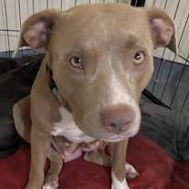 Thumbnail photo of Mocca #2