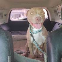 Thumbnail photo of Mocca #4