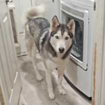 Thumbnail photo of Togo #1