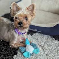 Thumbnail photo of Ally #2