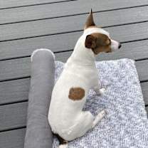 Thumbnail photo of Chloe #1