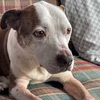 Thumbnail photo of Sandy #1