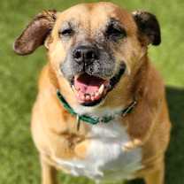 Thumbnail photo of Milly #1