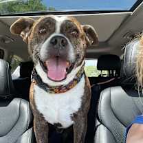 Thumbnail photo of Charlie 2114 #1