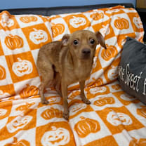 Thumbnail photo of Kane #3