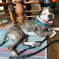 Thumbnail photo of Oasis #2