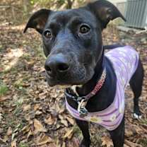 Thumbnail photo of Jackie #1