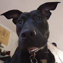 Thumbnail photo of Jackie #3