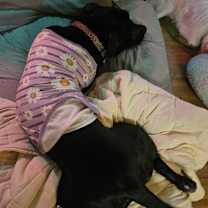 Thumbnail photo of Jackie #4