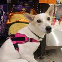 Thumbnail photo of Jenny #4