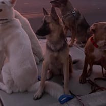 Thumbnail photo of Esme #1