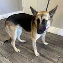 Thumbnail photo of Esme #3