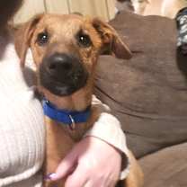 Thumbnail photo of Parson #1