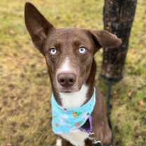 Thumbnail photo of Timmy T #1