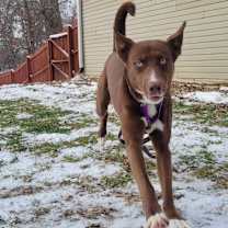 Thumbnail photo of Timmy T #2