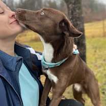 Thumbnail photo of Timmy T #4