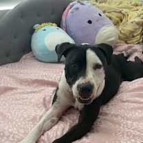 Thumbnail photo of Maverick #2