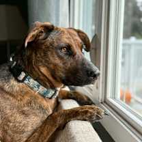 Thumbnail photo of Kia #1