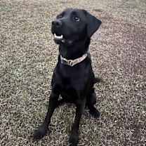 Thumbnail photo of Connor #3