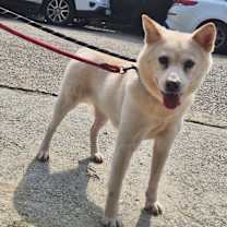 Thumbnail photo of Eunsu #2