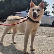 Thumbnail photo of Eunsu #1