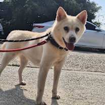 Thumbnail photo of Eunsu #3