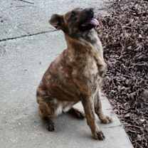 Thumbnail photo of Reece #3