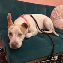 Thumbnail photo of Aiko #2