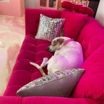 Thumbnail photo of Aiko #3