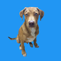 Thumbnail photo of Edward #2