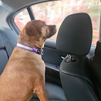 Thumbnail photo of Naomi #4