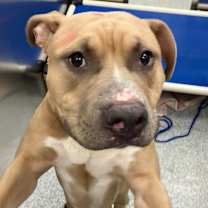 Thumbnail photo of Frisbee #2